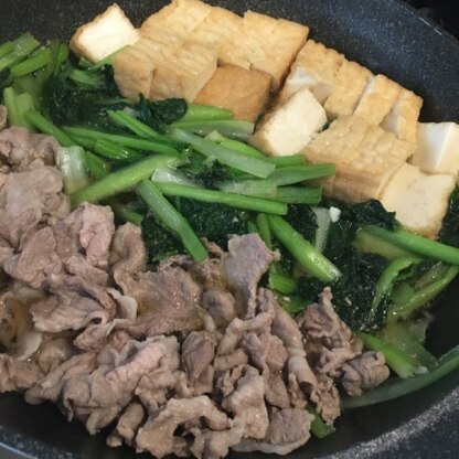 豆腐はなかったので厚揚げにして
豚肉も入れてみました

ターサイ美味しいですね